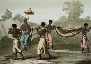 Congolese Method Of Travel — Gallo Gallina