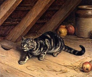 Alert — Frank Paton