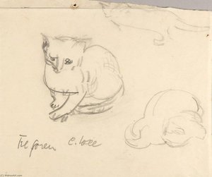 Cats