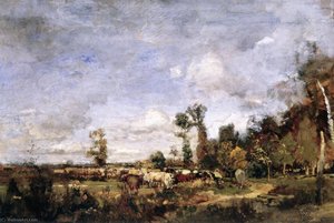 Grazing Cattle in Holland