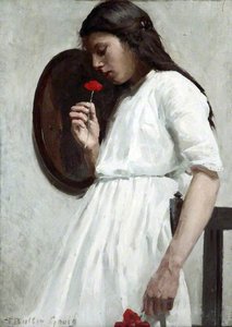 Poppy Red (The Mirror)