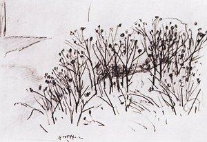 Study — Ivan Ivanovich Shishkin