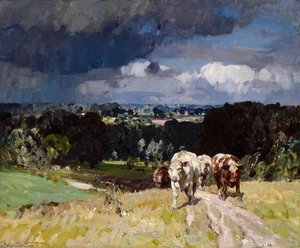 The Raincloud
