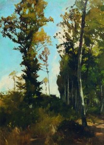Forest clearing in Purkersdorf