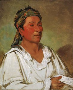 Lay Lóo Ah Pee Ái Shee Kaw, Grass, Bush, And Blossom, Semicivilized — George Catlin