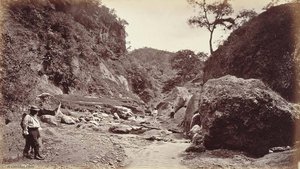 Barranca Of Ynsiensi, Guatemala — Eadweard J Muybridge