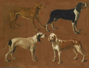 Study Of Four Pointers
