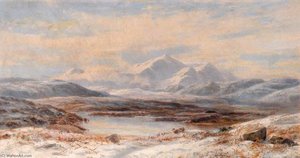 Meirioneth Moors