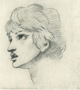 Head of a Youth