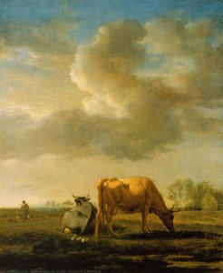 Cows On A Meadow — Adrijen Van De Velde, Baroque
