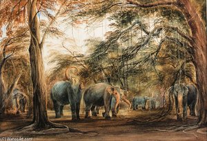 A Herd Of Elephants, Ceylon — Andrew Nicholl