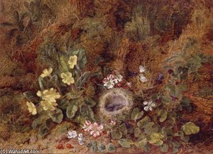 Still Life With Bird's Nest And Wild Flowers
