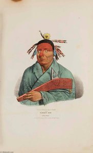 Waa Top E Not Or The Eagle's Bed A Fox Chief, From The Aboriginal Portfolio — James Otto Lewis
