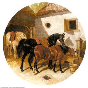 the farmyard