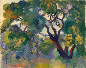 Landscape At St-tropez