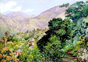 Distant View Of Newcastle, Jamaica — Marianne North