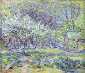 Apple Blossoms — Роберт Левис Рид