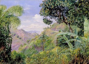 View On The Flamsted Road, Jamaica — Marianne North, Victorian Botanical Painting