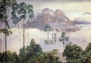 La Montaña Mercurial De Tegora, Sarawak, Borneo — Marianne North