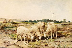 Grazing Sheep — Anton Mauve