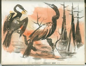 Untitled — Judd, Deforrest H. (deforrest Hale)