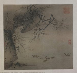 Plum Blossoms above Rocks and Wild Ducks