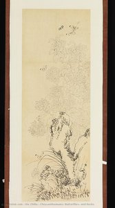 Chrysanthemums, Butterflies, and Rocks