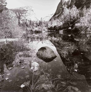 Yosemite National Park, California — Lee Friedlander