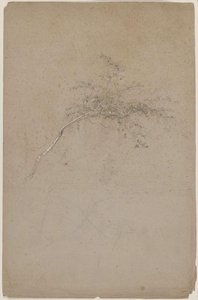Slender Tree — Jasper Francis Cropsey