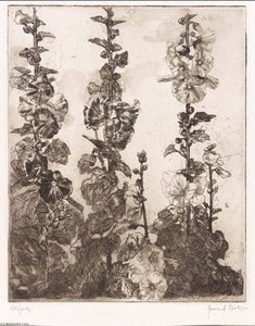 Hollyhocks — Howard Cook