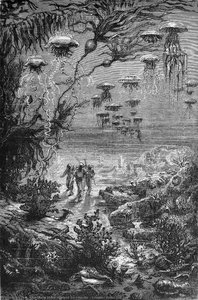 Leagues Under The Sea — Alphonse De Neuville