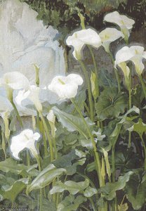 Lirios — Francisco Pons Arnau