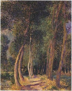 In the Woods