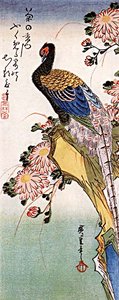 Chrysanthemum And Pheasant — Ando Hiroshige