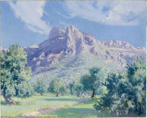 Landscape of Sòller