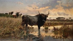In The Pontine Marshes