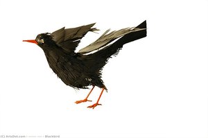 Blackbird — Максим Никифорович Воробьёв