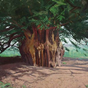 The Ankerwycke Yew — Alan Bennett