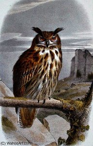 Eurasian eagle owl