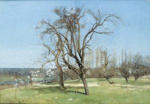 First days of spring
