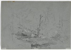 Small Lake, Catskill Mountains — Thomas Cole