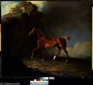 A Golden Chestnut Racehorse by a Rock Formation