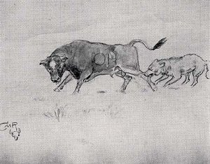 Wolf Attacking A Bull, (painting) — Charles Marion Russell