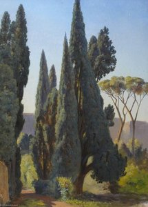 Stone Pine — Thomas Stuart Smith