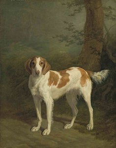 Dash, A Setter In A Wooded Landscape — Jacques Laurent Agasse