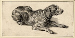 Lying Dog — Aelbert Jacobsz Cuyp
