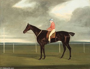 Tom Paine With Jockey Up