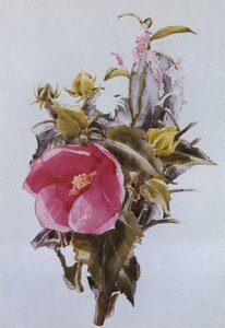 Hibiscus — Charles Demuth