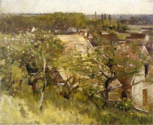 In the Orchard