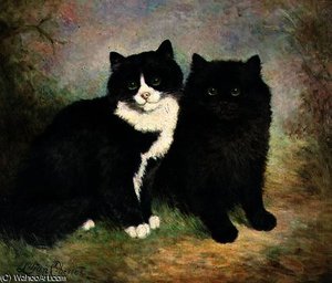 A Pair of Pussy Cats